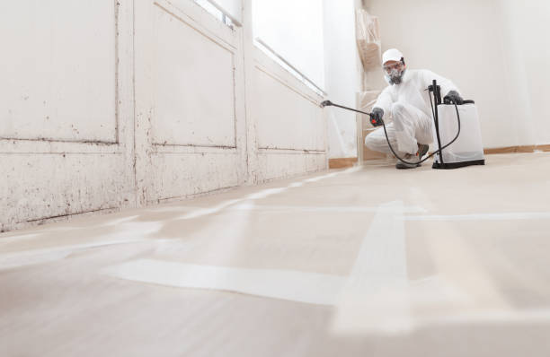 Trusted Mold Removal service in Zebulon, NC - WQB Mold Removal