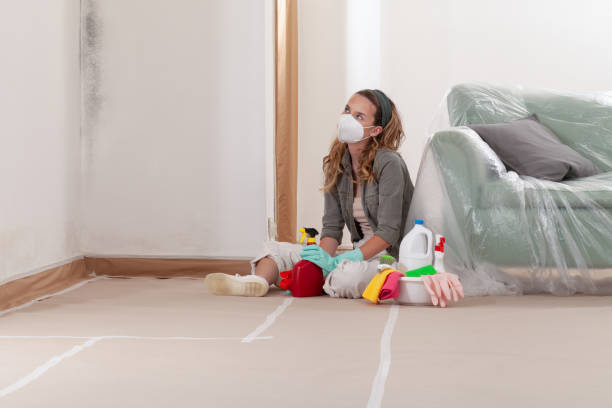 Reliable Mold Removal contractor in Zebulon, NC by WQB Mold Removal
